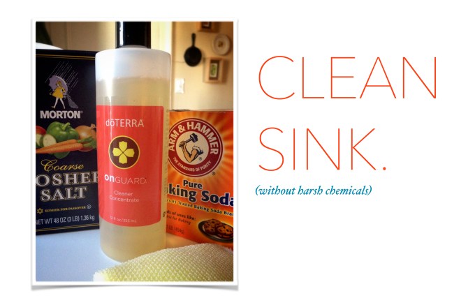 cleansink3.17.14